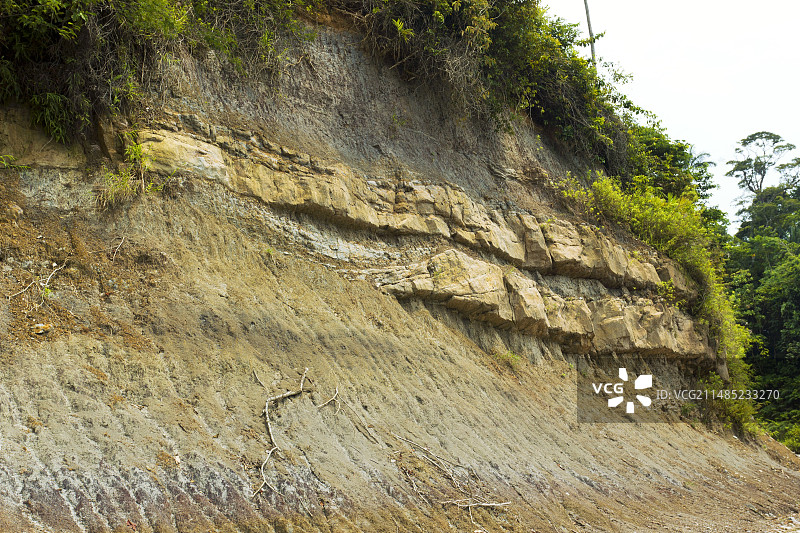热带雨林岩层图片素材