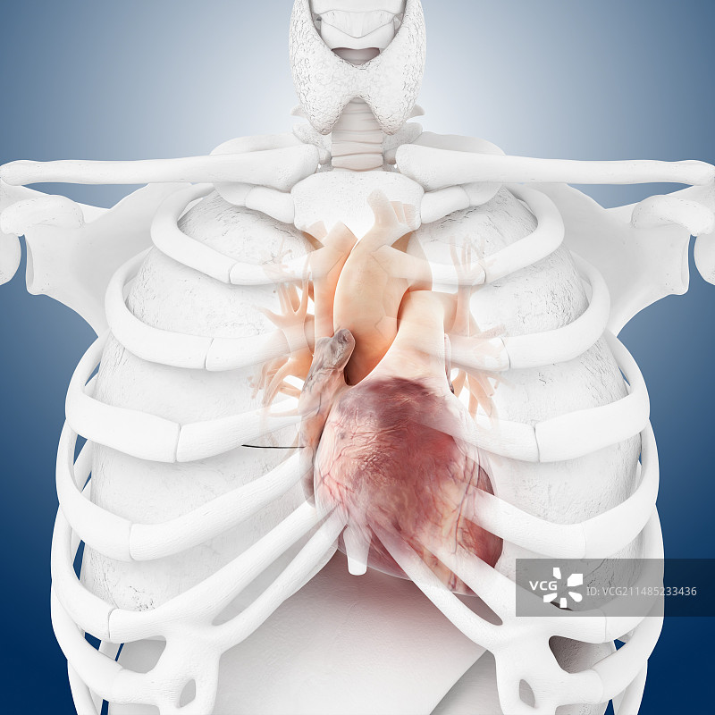 心形艺术作品图片素材