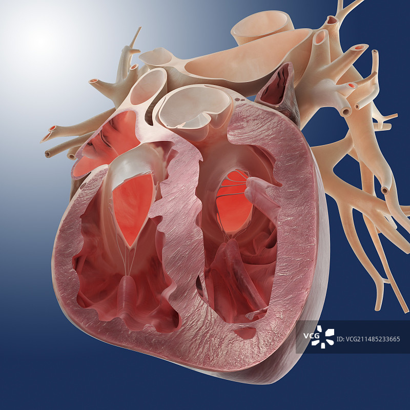 心形艺术作品图片素材