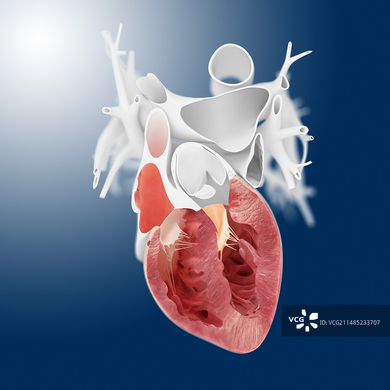 心形艺术作品图片素材