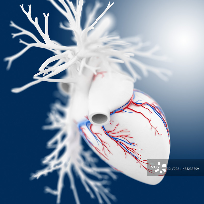 心形艺术作品图片素材