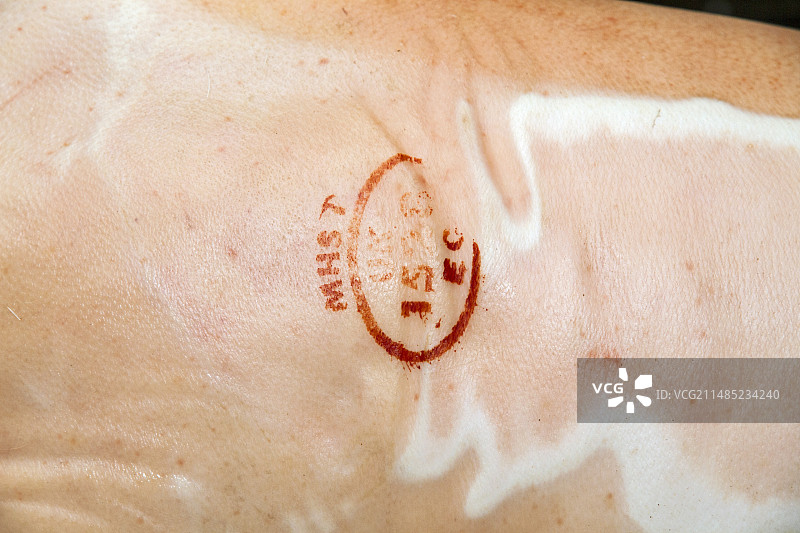 猪肉屠宰场印章图片素材