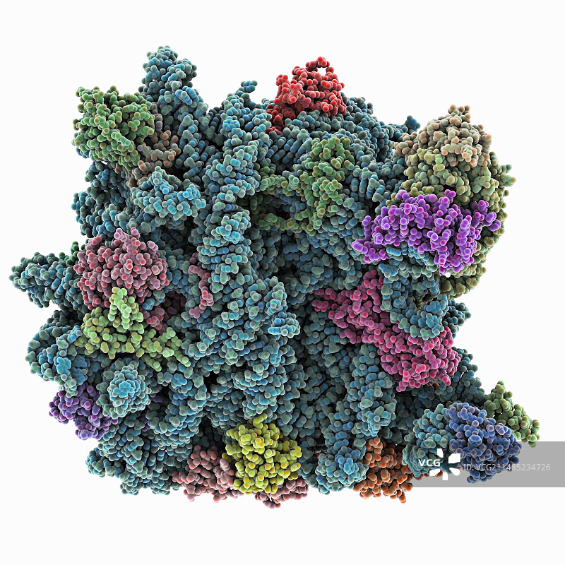古生菌核糖体分子模型图片素材