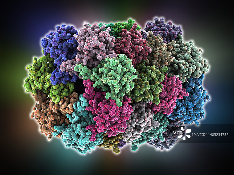 古生菌酶分子模型图片素材