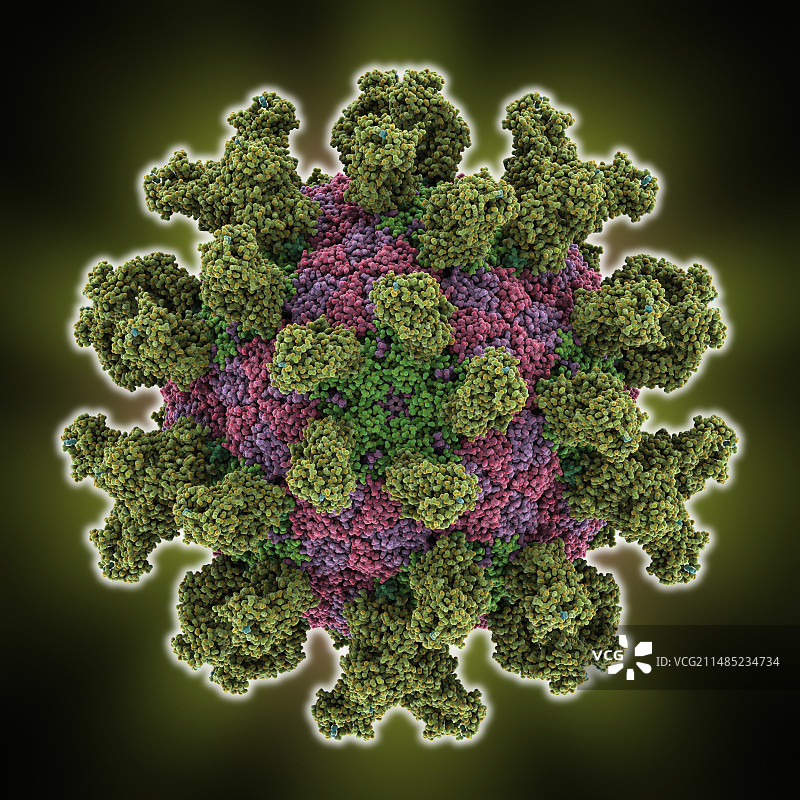 口蹄疫病毒图片素材