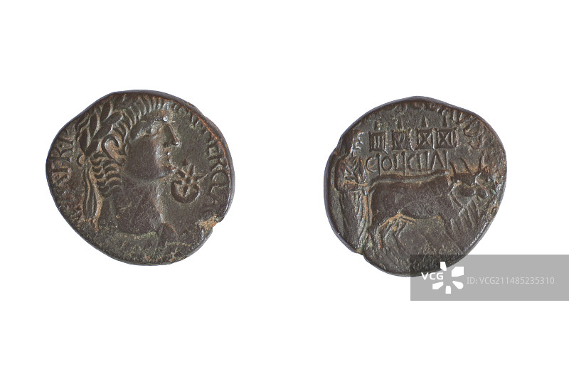 阿科尼禄青铜币图片素材