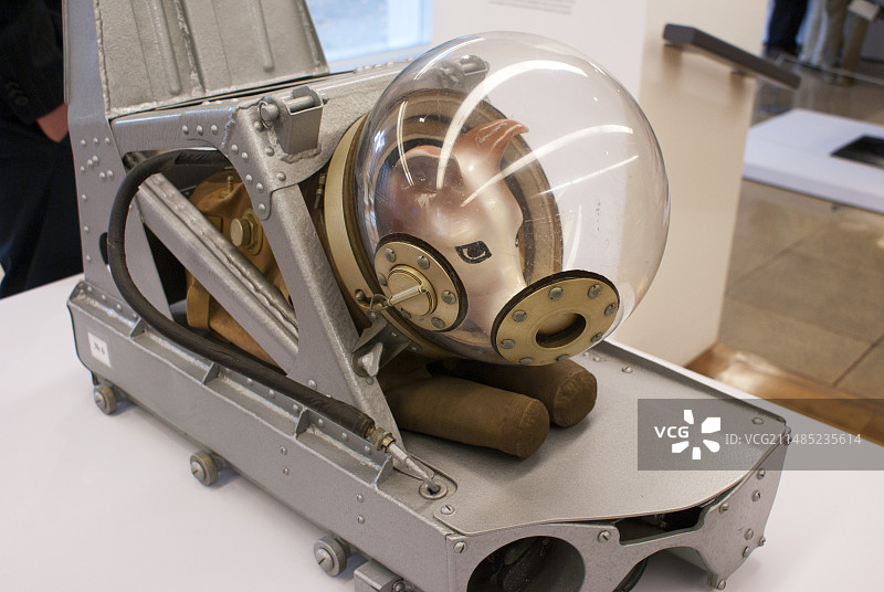 太空第一只动物莱卡图片素材