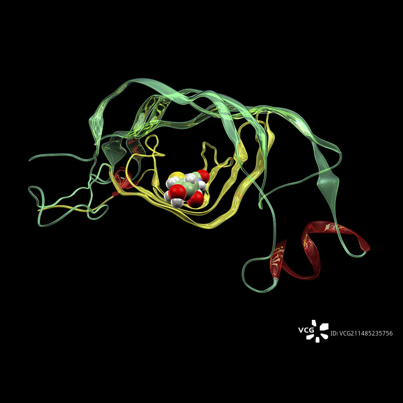 链霉亲和素-生物素分子复合物图片素材
