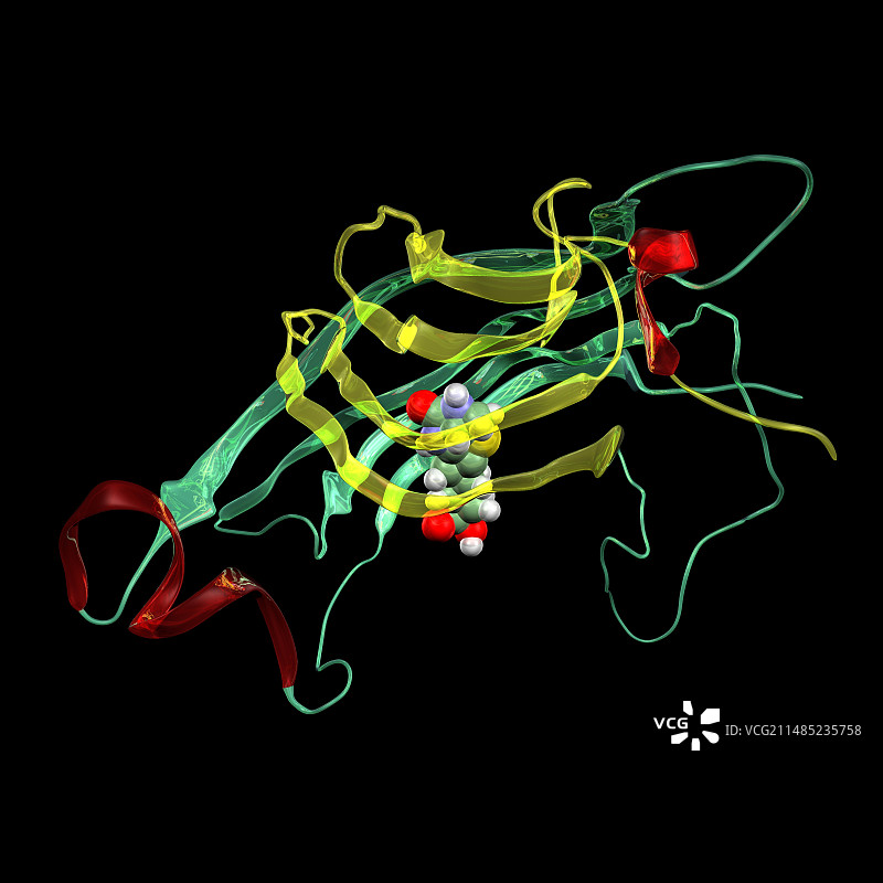 链霉亲和素-生物素分子复合物图片素材