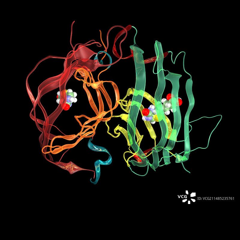 链霉亲和素-生物素分子复合物图片素材
