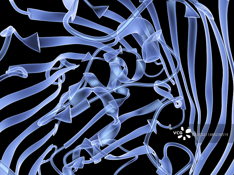 细菌外膜蛋白分子图片素材