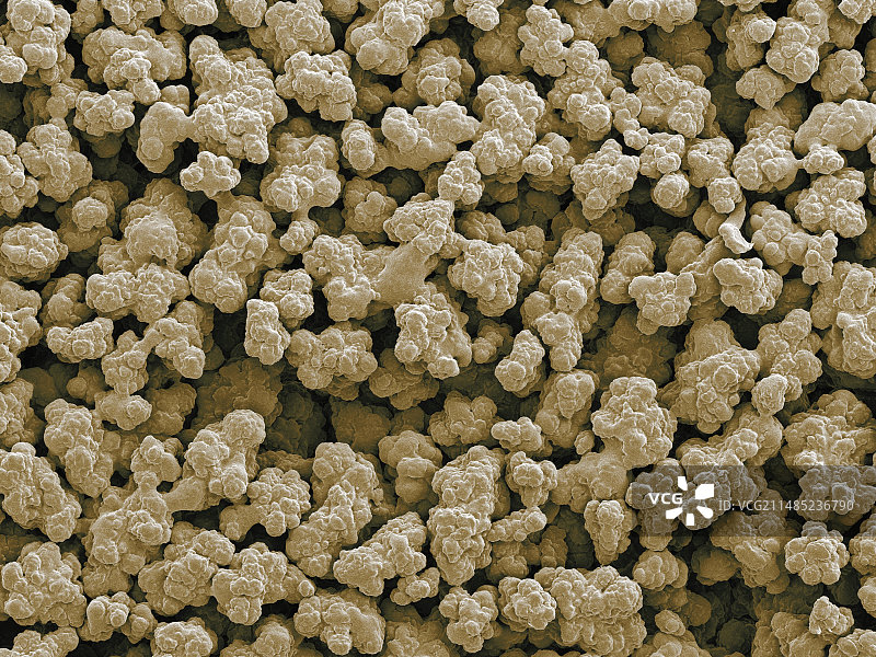 核酸分离树脂扫描电镜图图片素材