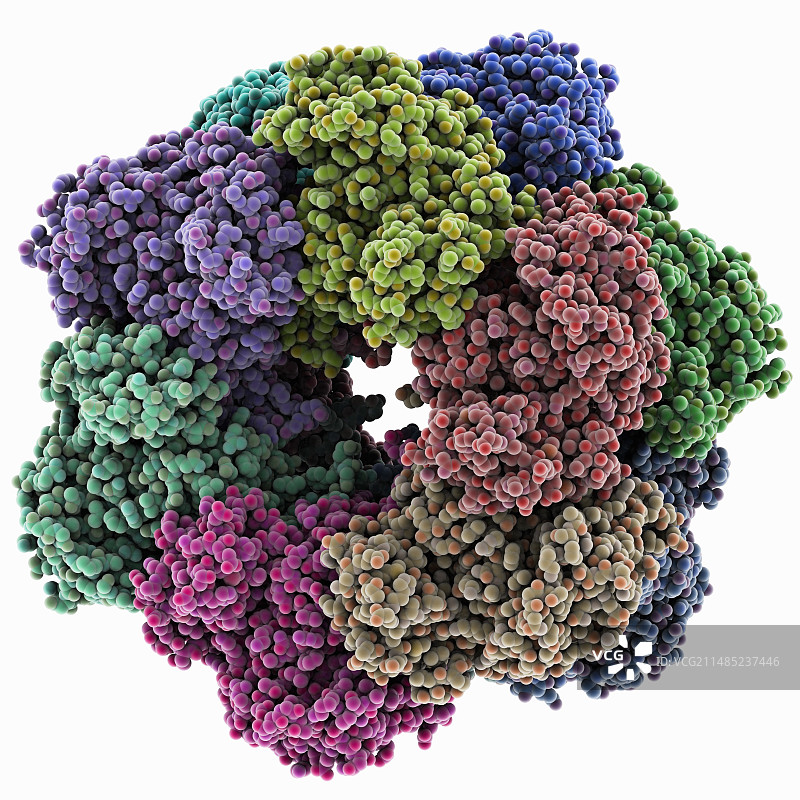 谷氨酰胺合成酶图片素材