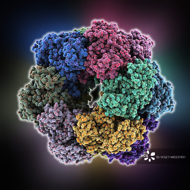 谷氨酰胺合成酶图片素材