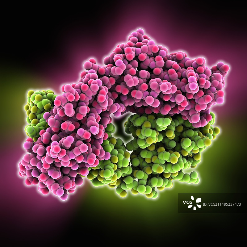 人类抗肿瘤抗体分子图片素材
