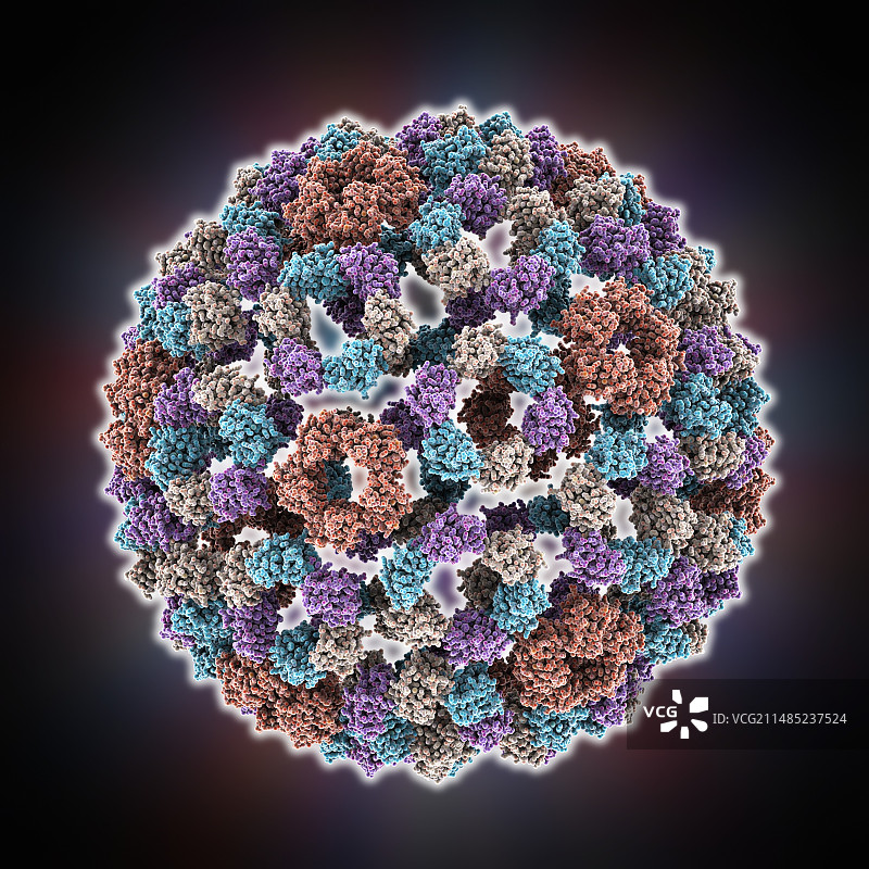 塞姆利基森林病毒衣壳图片素材