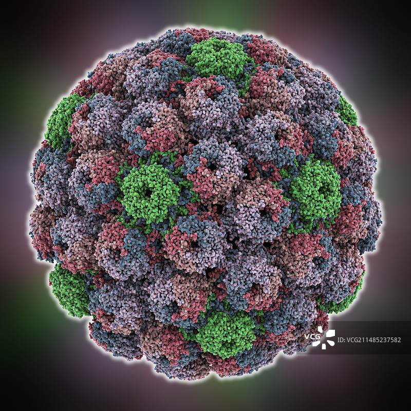SV40病毒衣壳分子模型图片素材