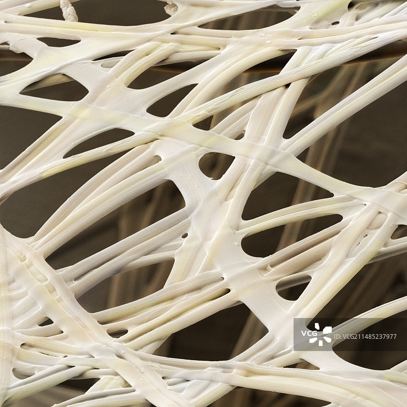 蚕丝纤维（扫描电镜）图片素材