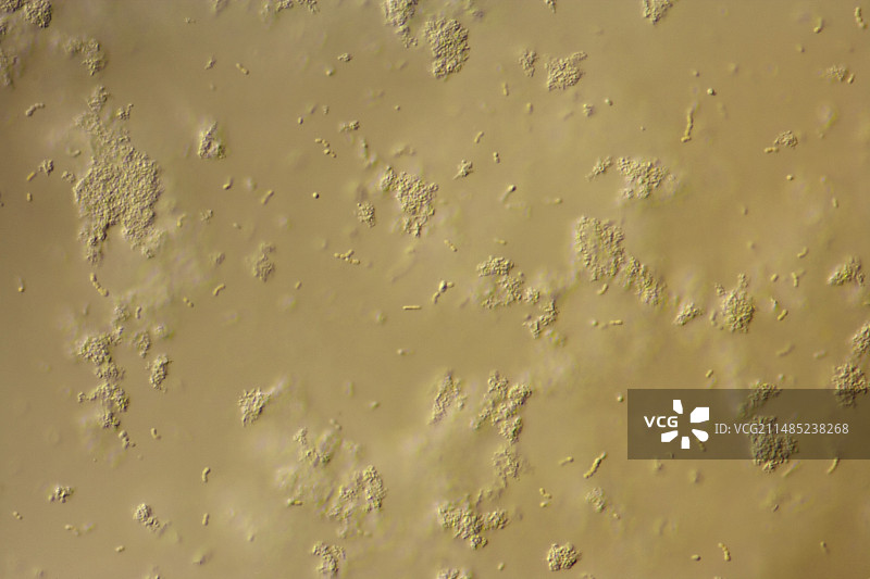 饮用型酸奶图片素材