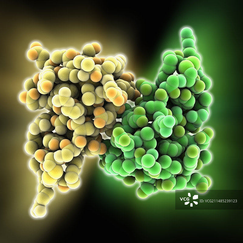 淀粉样前体蛋白分子图片素材