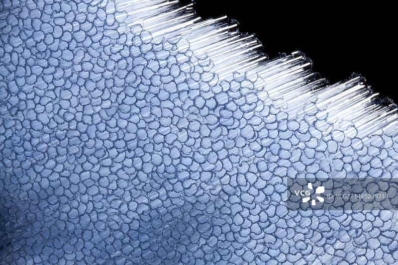仿蜂窝填充物图片素材