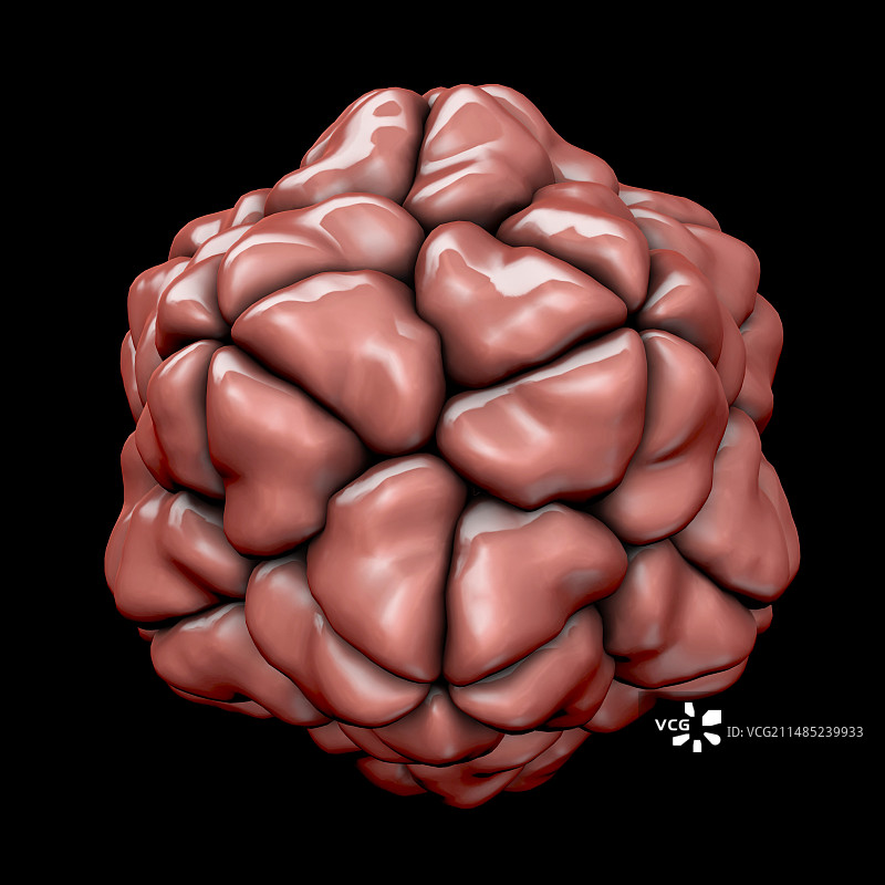卫星烟草坏死病毒图片素材