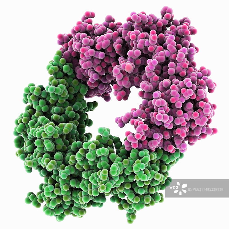 DNA聚合酶III亚基分子图片素材