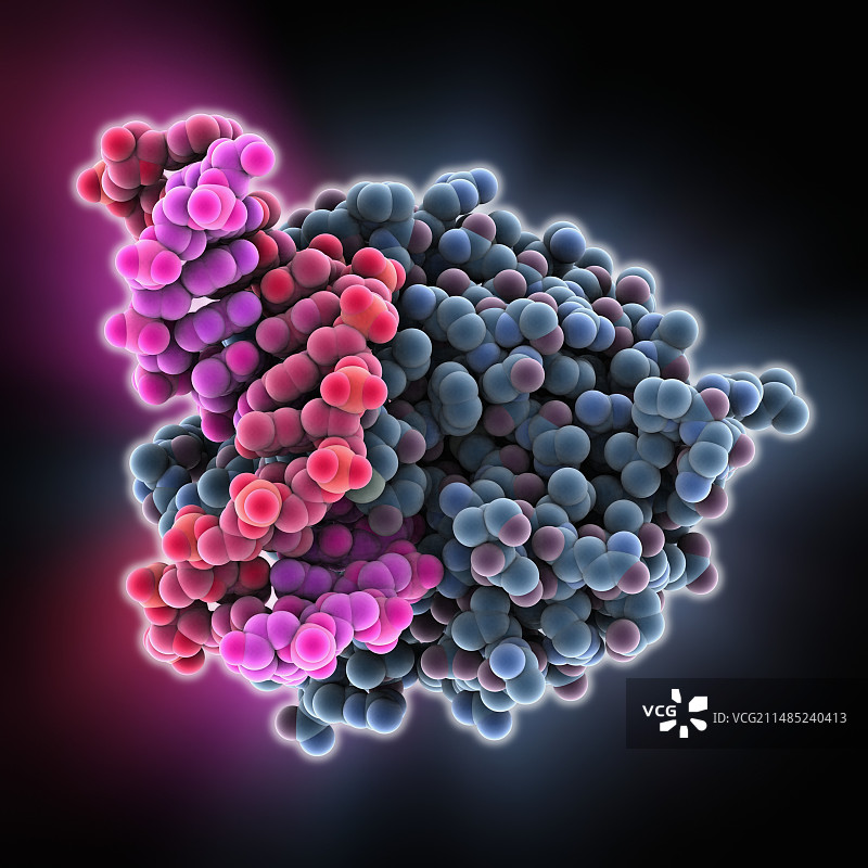 氧化鸟嘌呤糖基化酶复合物图片素材