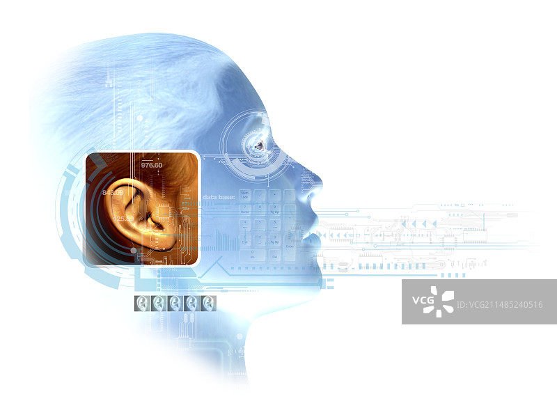 耳朵生物识别艺术图片素材