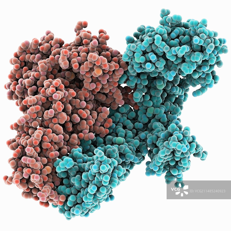 HIV逆转录酶图片素材