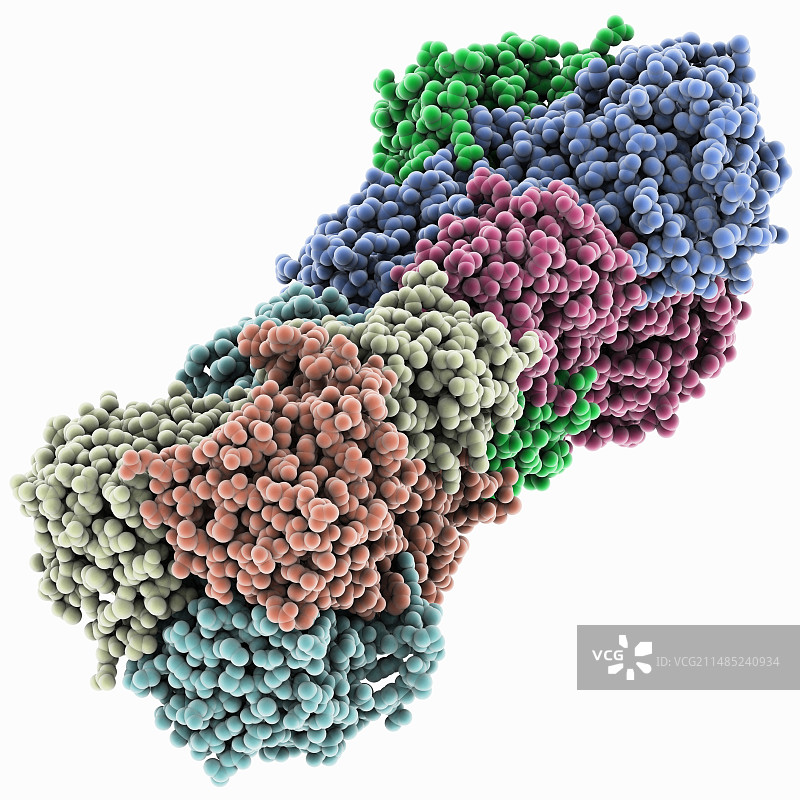 蓝舌病毒蛋白VP7结构图片素材
