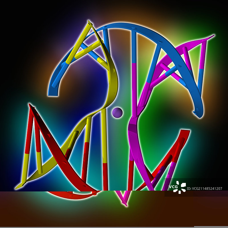 DNA霍利迪连接点图片素材