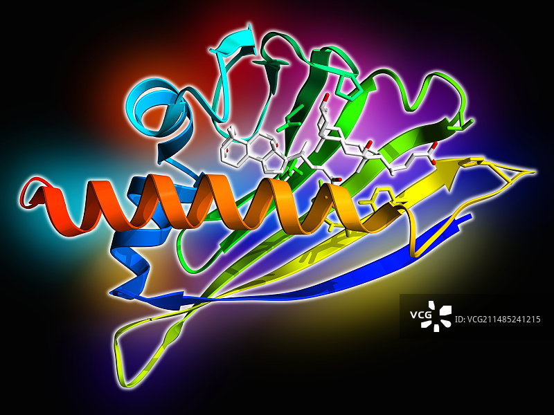 桦树花粉过敏原分子图片素材