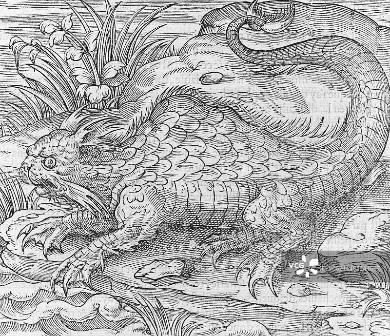 16世纪的神话混合生物图片素材