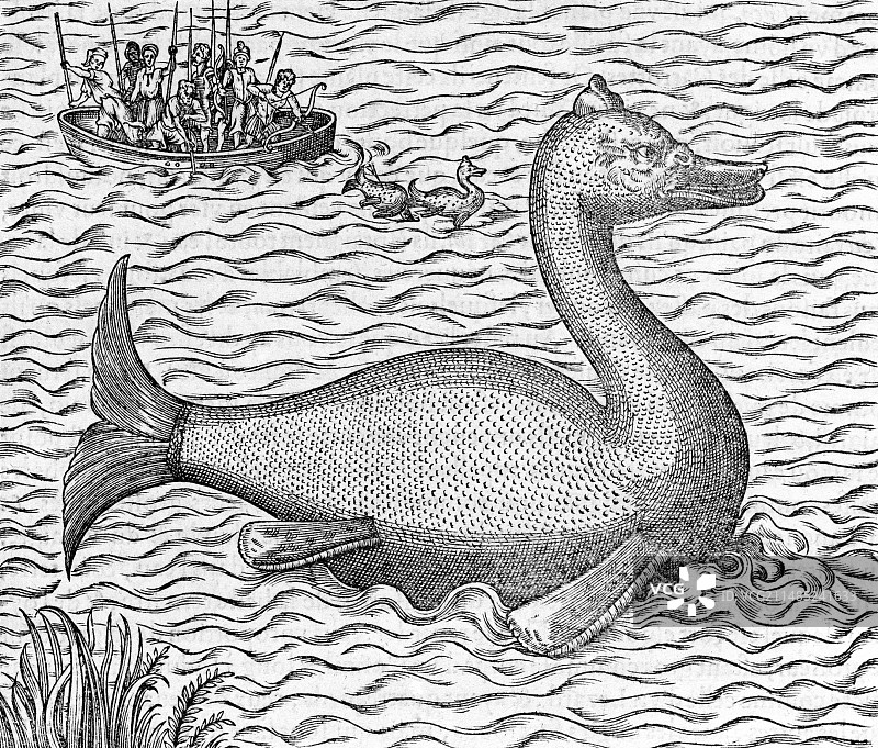 16世纪神话水生生物图片素材