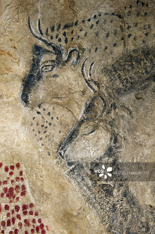 马尔苏拉斯洞穴绘画复制品图片素材