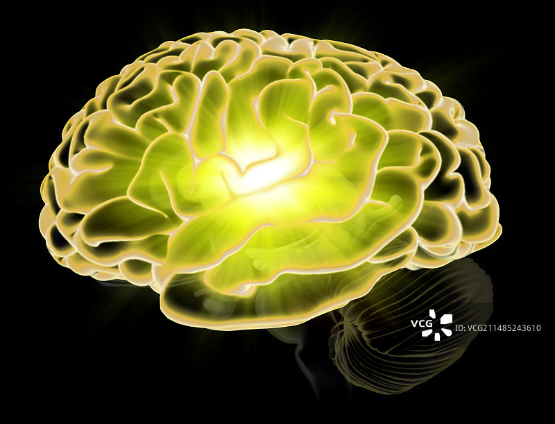 智能概念艺术品图片素材