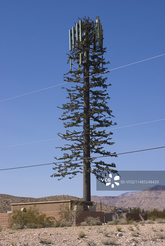 伪装成树的手机信号塔图片素材