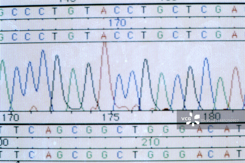 结核病疫苗研究图片素材