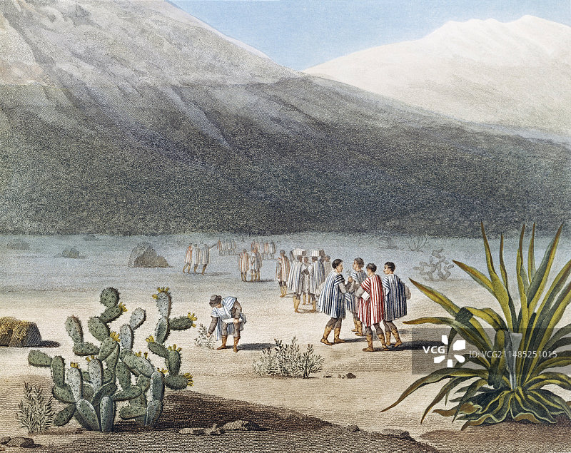 1802年安第斯山脉的洪堡图片素材