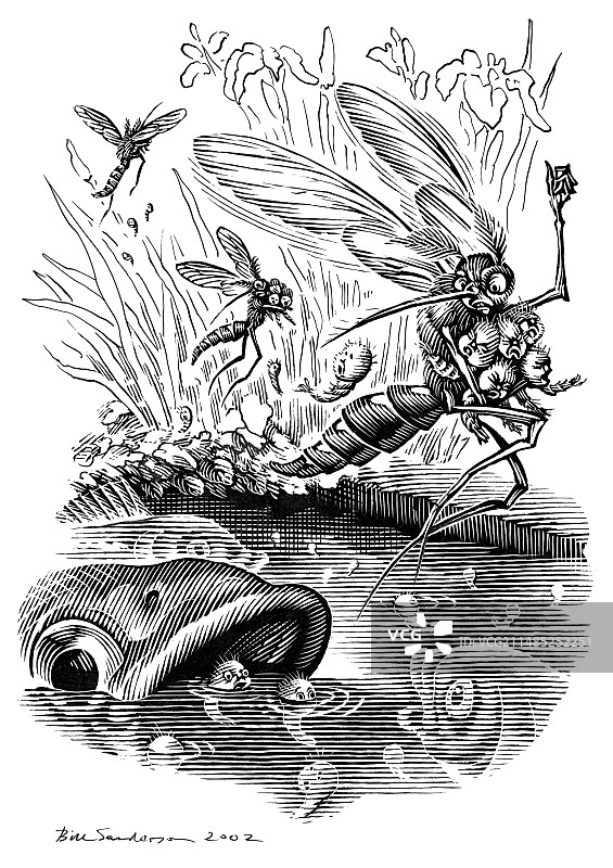 愤怒的蚊子概念艺术作品图片素材