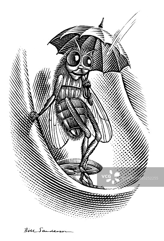 庇护昆虫概念艺术作品图片素材