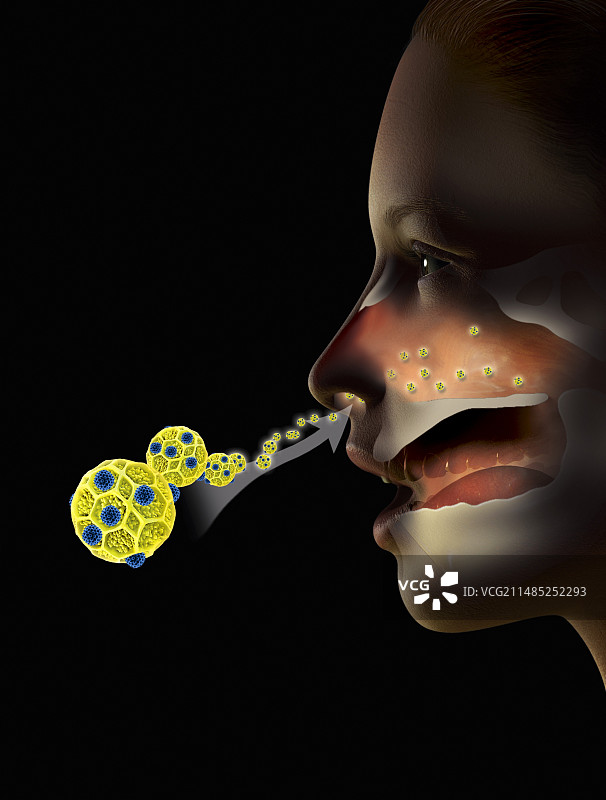 花粉热艺术插画图片素材