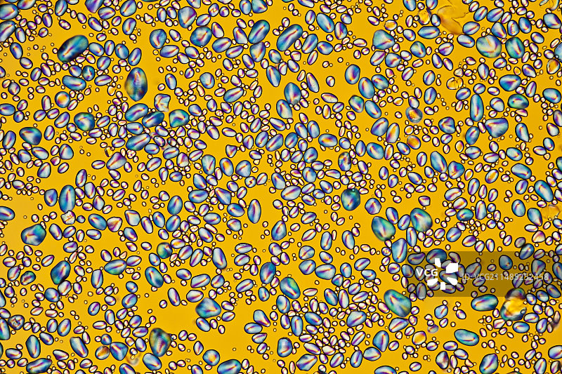 土豆淀粉颗粒显微照片图片素材