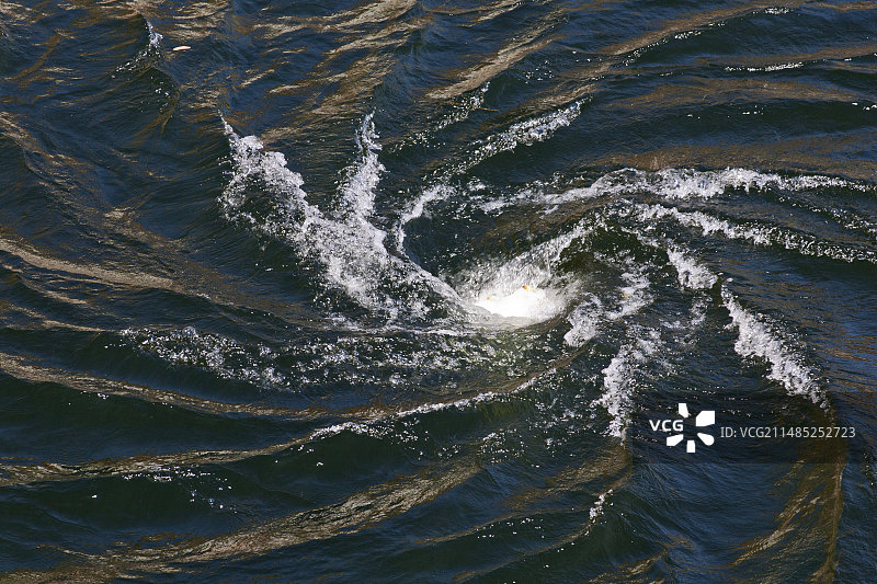 惠而浦图片素材