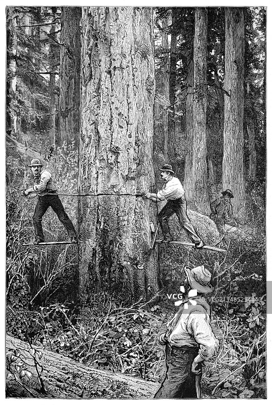 19世纪的种植园林业图片素材