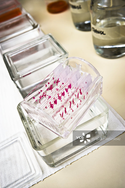 癌症研究实验室图片素材