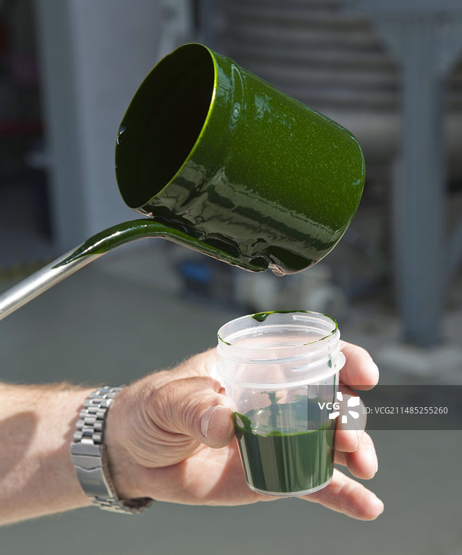 微藻食品补充剂生产图片素材