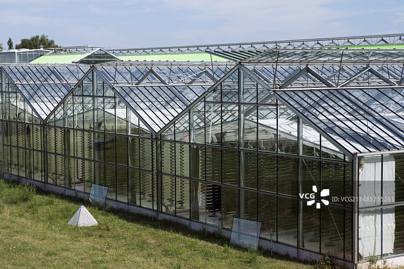 微藻食品补充剂生产图片素材