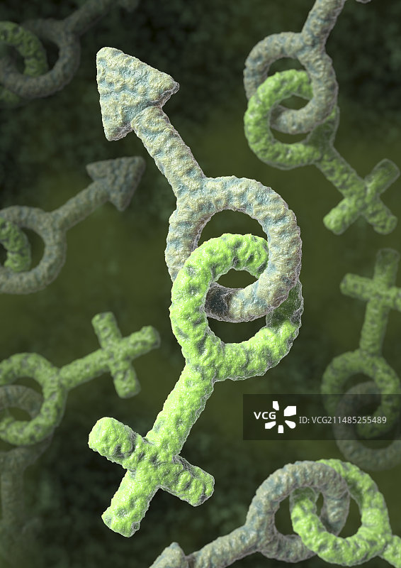 性传播感染医学插图图片素材